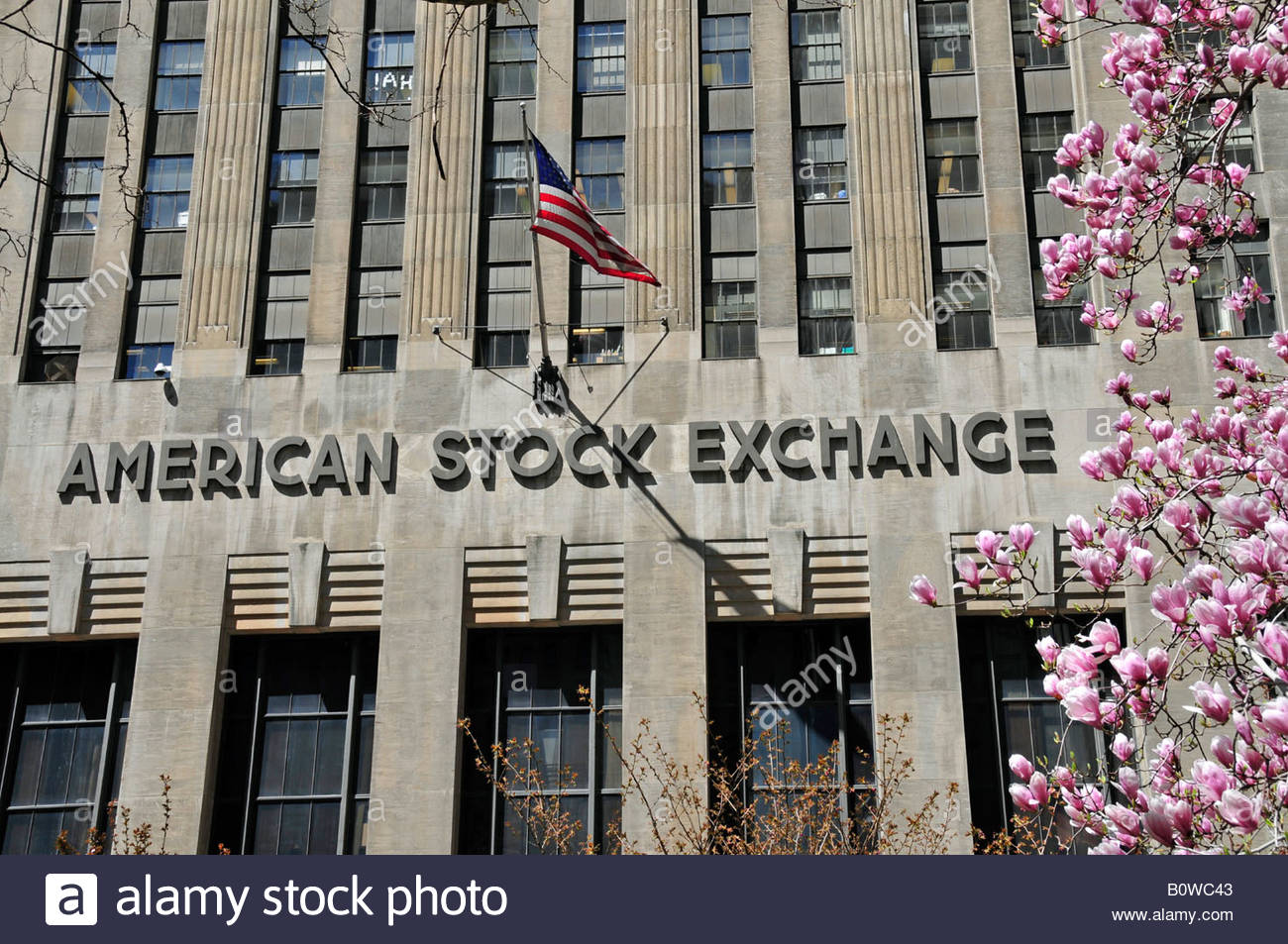 بازار بورس آمریکا (AMEX)